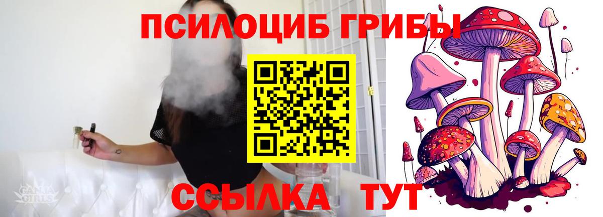 Псилоцибиновые грибы мицелий  Вход с VPN  Алушта  Псилоцибиновые грибы Cubensis 